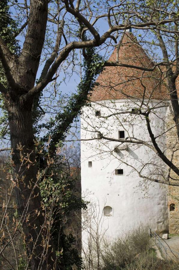 Pension Horn Bautzen Exterior foto